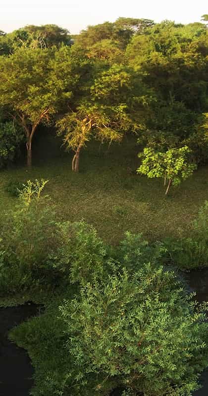 Murchison River Lodge, Murchison Falls | Timbuktu Travel