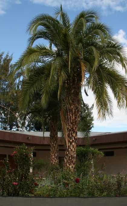 Wabe Shebelle Hotel, Bale Mountains | Timbuktu Travel