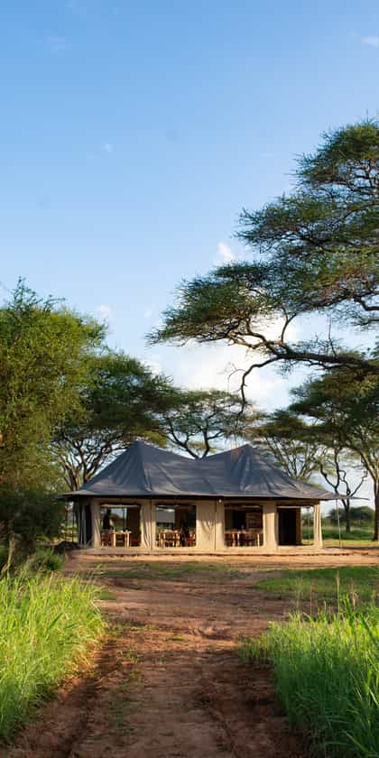 Lolkisale Camp, Tarangire | Timbuktu Travel