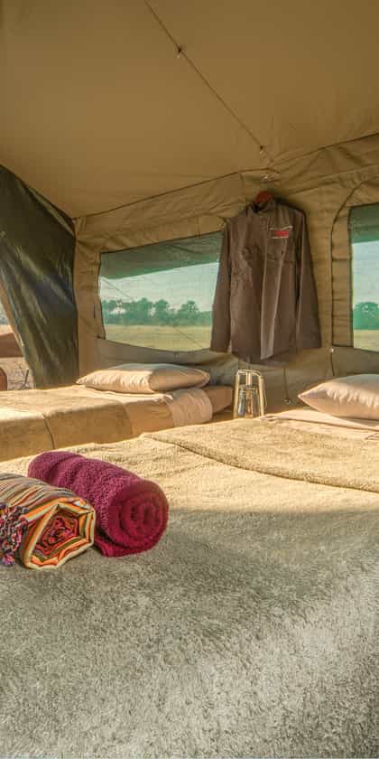 Letaka Tented Safaris - Central Kalahari, Central Kalahari | Timbuktu Travel