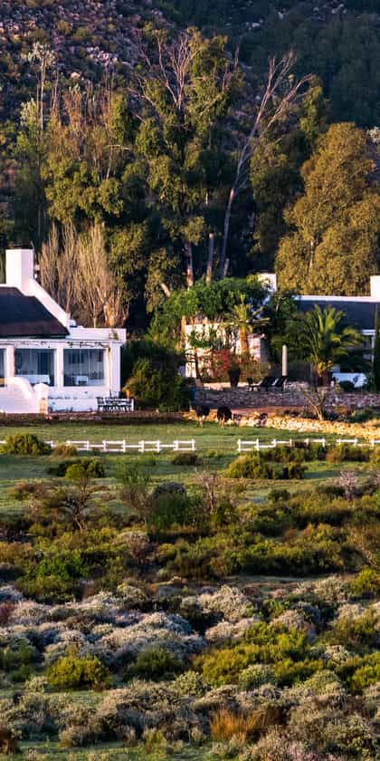 Galenia Estate, Klein Karoo | Timbuktu Travel