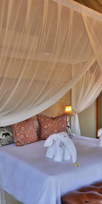 Safari Plains, Waterberg | Timbuktu Travel