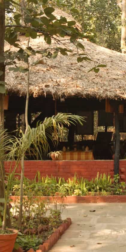 Kanha Jungle Lodge, Kanha National Park | Timbuktu Travel