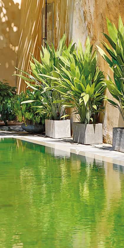 The Fort Printers, Galle | Timbuktu Travel