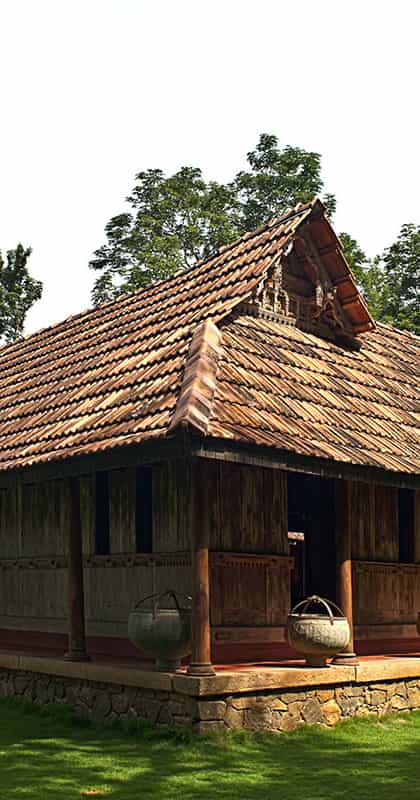 Rajakkad Estate , Palani Hills | Timbuktu Travel