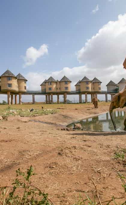 Salt Lick Safari Lodge, Tsavo | Timbuktu Travel