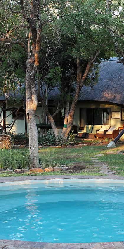 Simbavati Camp George, Klaserie | Timbuktu Travel