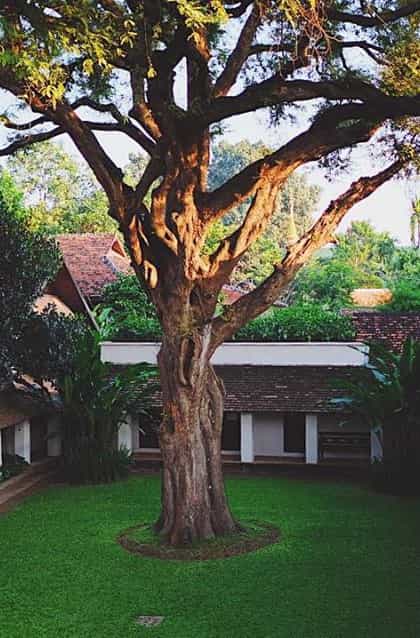 Tamarind Village, Chiang Mai | Timbuktu Travel
