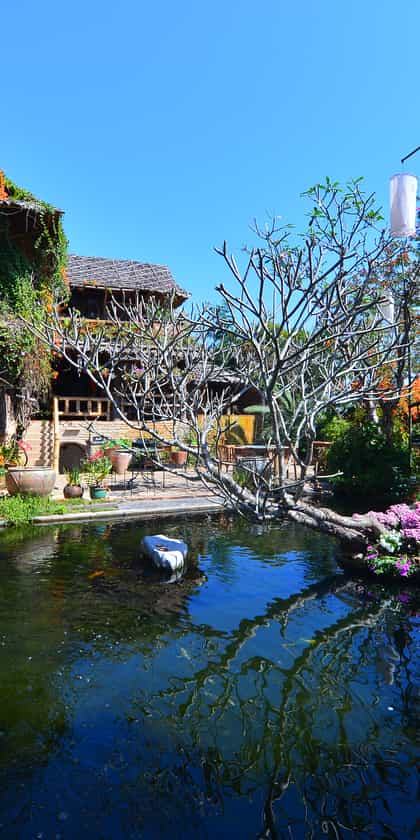 Phu Chaisai Mountain Resort & Spa, Chiang Rai | Timbuktu Travel