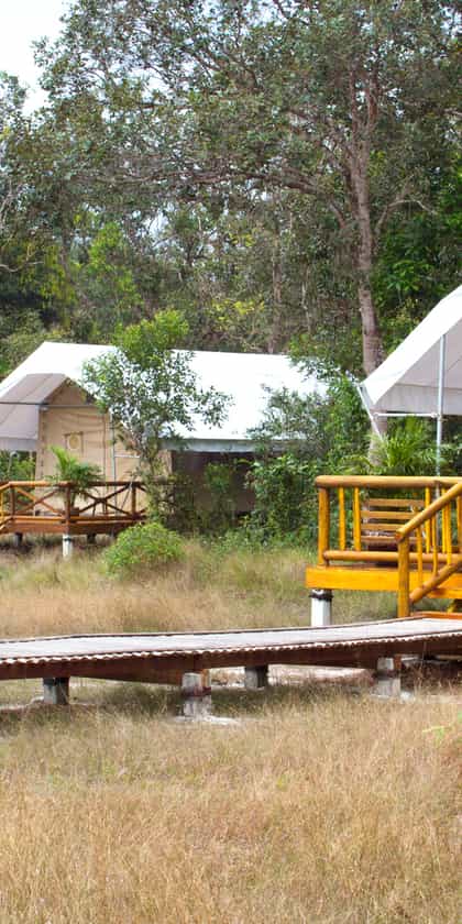 Cardamom Tented Camp, Cardamom Mountains | Timbuktu Travel