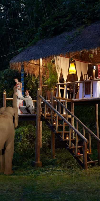 Anantara Golden Triangle Elephant Camp, Chiang Rai | Timbuktu Travel