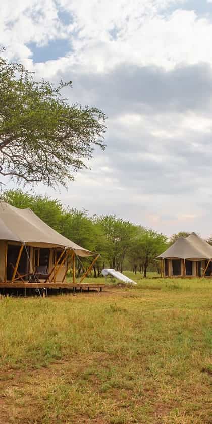 Cherero Camp, Serengeti | Timbuktu Travel