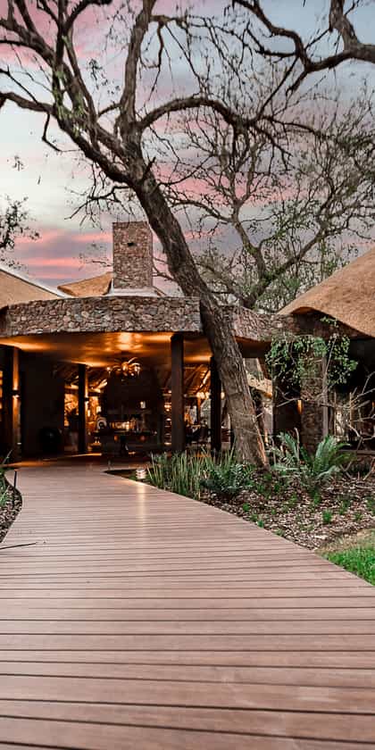 Dulini Moya, South & West Sabi Sands | Timbuktu Travel