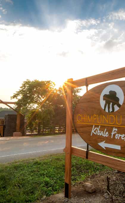 Chimpundu Lodge, Kibale | Timbuktu Travel