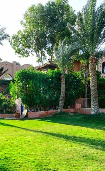 Lazib Inn Resort & Spa, Cairo | Timbuktu Travel