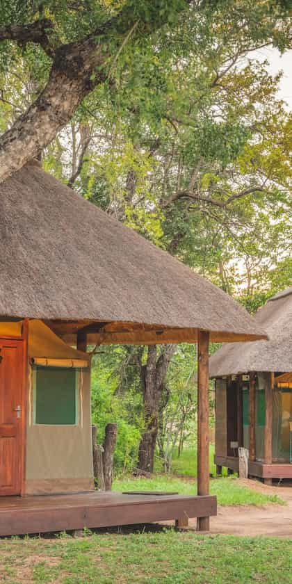 Shindzela Tented Safari Camp, Timbavati | Timbuktu Travel