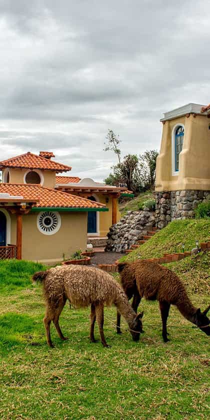 Llullu Llama Mountain Lodge, Avenue of the Volcanoes | Timbuktu Travel