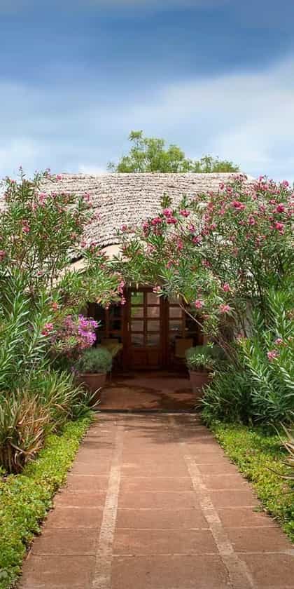 Plantation Lodge, Ngorongoro Crater | Timbuktu Travel