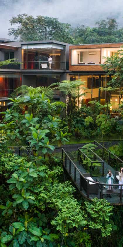 Mashpi Lodge, The Cloud Forest | Timbuktu Travel