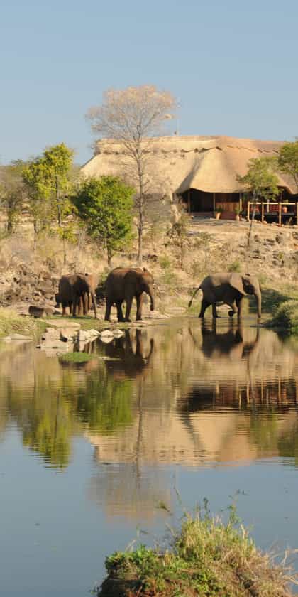 The Wallow Lodge, Victoria Falls | Timbuktu Travel