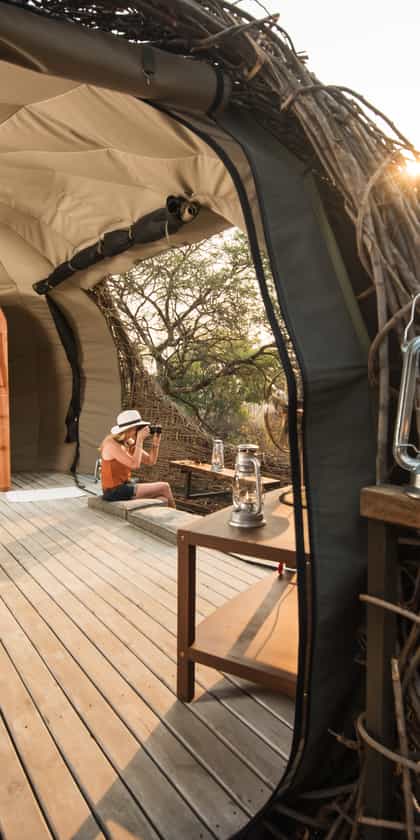 Chisa Busanga 'The Nest' Camp, Kafue | Timbuktu Travel