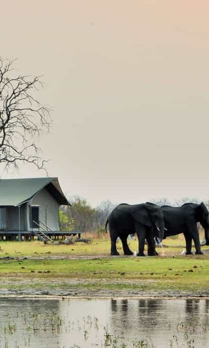 Nogatsaa Pans Lodge, Chobe | Timbuktu Travel