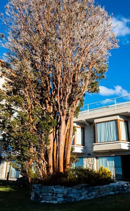 Cacique Inacayal Hotel & Spa, Bariloche | Timbuktu Travel