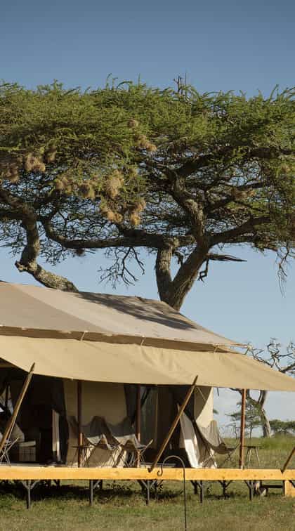 Siringit Serengeti Camp, Serengeti | Timbuktu Travel