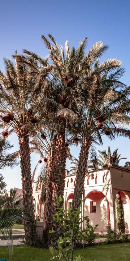 Dar Hnini, Zagora | Timbuktu Travel