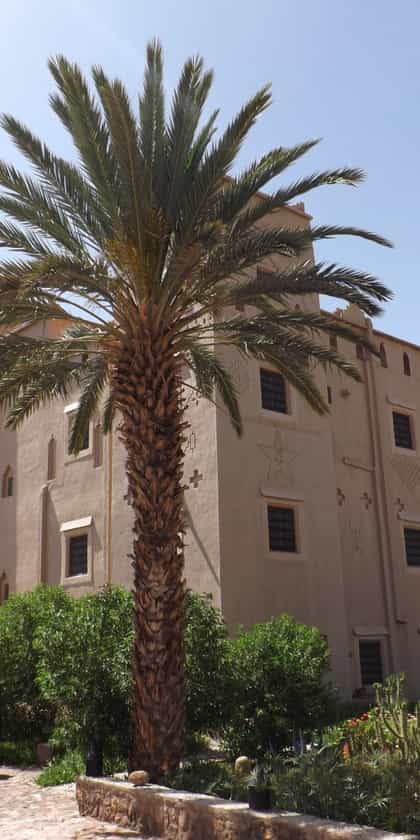 Kasbah Aït Ben Damiette, Skoura and surrounds | Timbuktu Travel