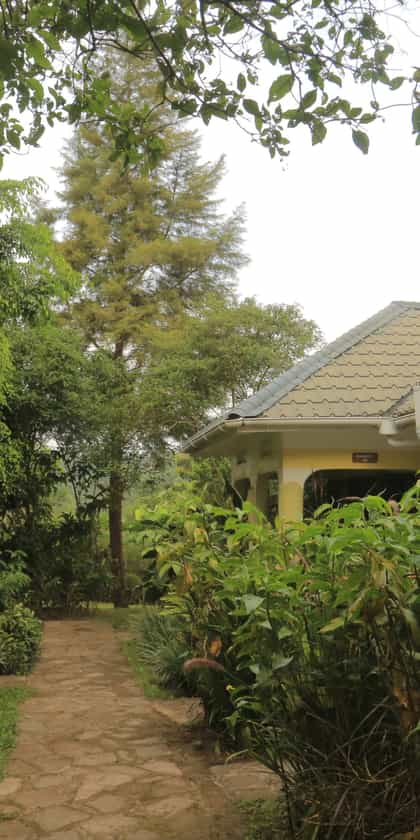 Kibale Forest Lodge, Kibale | Timbuktu Travel