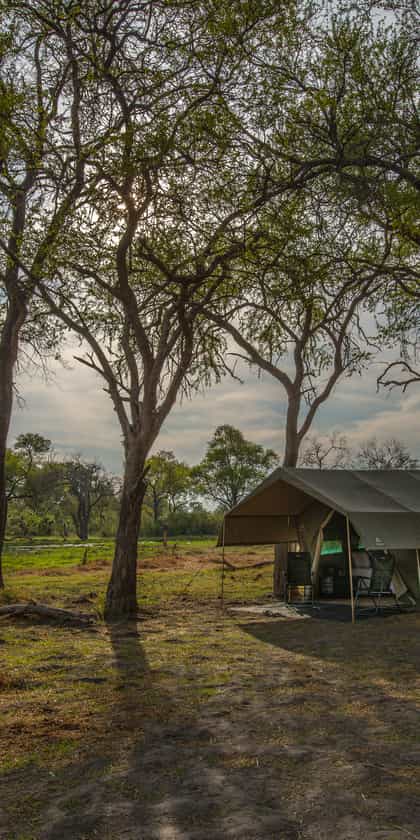 Golden Africa Luxury Roving Camp Moremi, Moremi | Timbuktu Travel