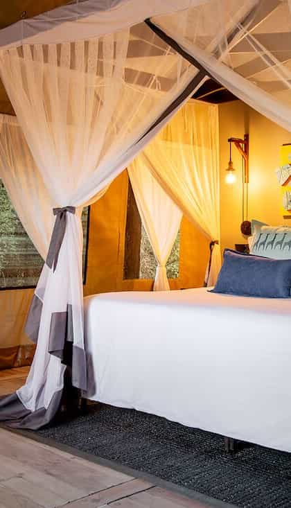 Thamo Telele, Maun | Timbuktu Travel