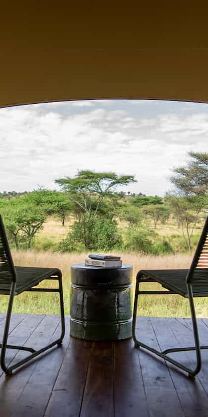 Serengeti Acacia Bliss, Serengeti | Timbuktu Travel