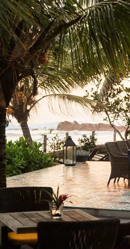 Owl and The Pussycat, Galle | Timbuktu Travel