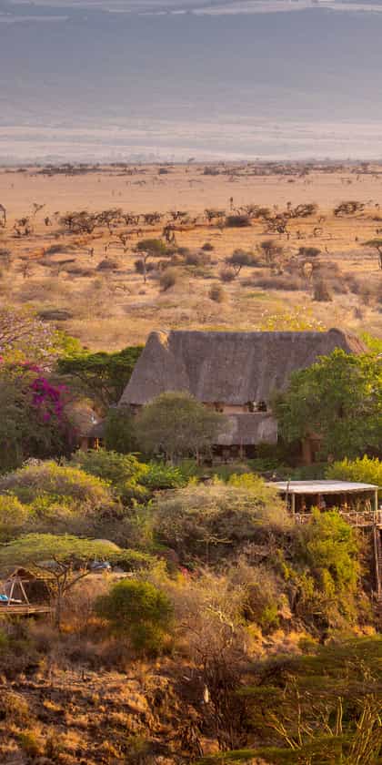 Lewa Wilderness Lodge, Lewa Downs | Timbuktu Travel