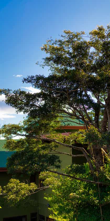 Cala Lodge, Monteverde Cloud Forest | Timbuktu Travel
