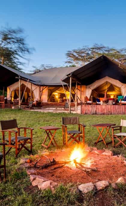 Instinct of the Mara, Masai Mara | Timbuktu Travel