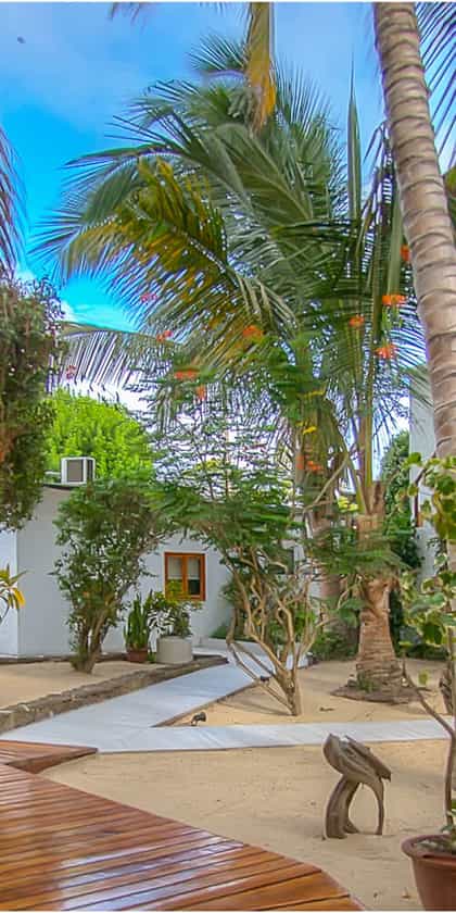 Hotel Boutique La Casa de Marita, Isla Isabela | Timbuktu Travel