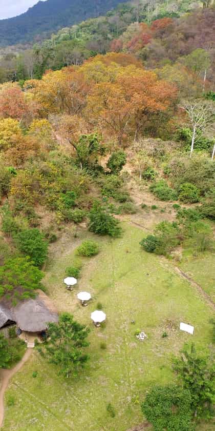 Udzungwa Forest Tented Camp, Udzungwa Mountains National Park | Timbuktu Travel