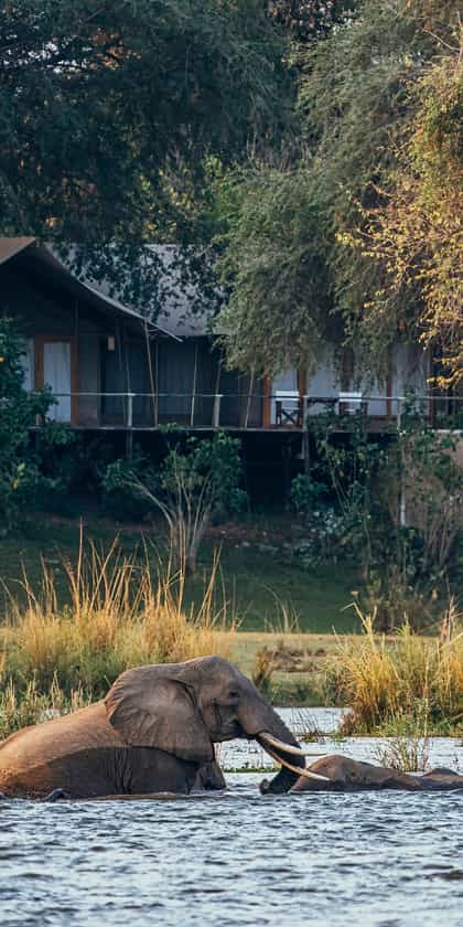 Anabezi Luxury Camp, Lower Zambezi | Timbuktu Travel