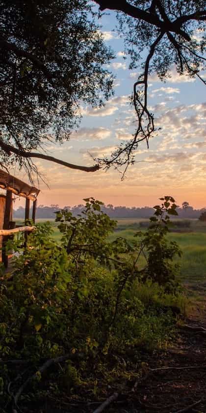 Moremi Crossing, Central Okavango | Timbuktu Travel