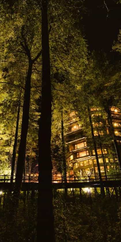 Hotel Nothofagus - Huilo Huilo, Lake District | Timbuktu Travel