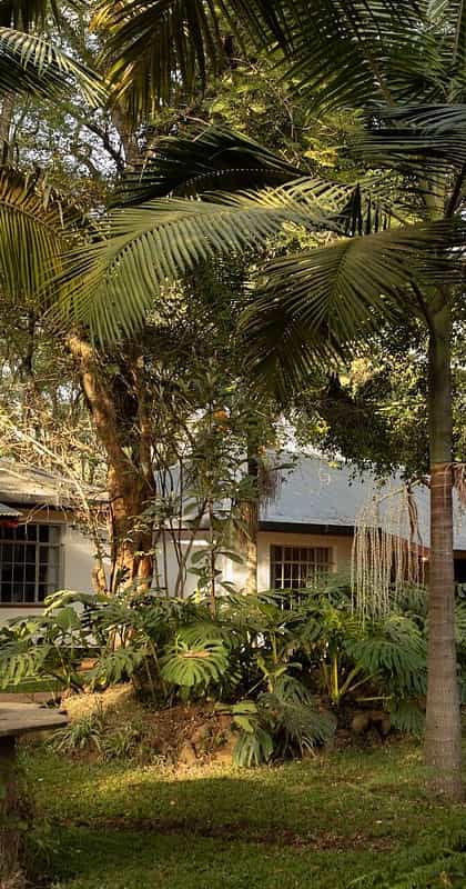 Karen Blixen Coffee Garden & Cottages, Nairobi | Timbuktu Travel