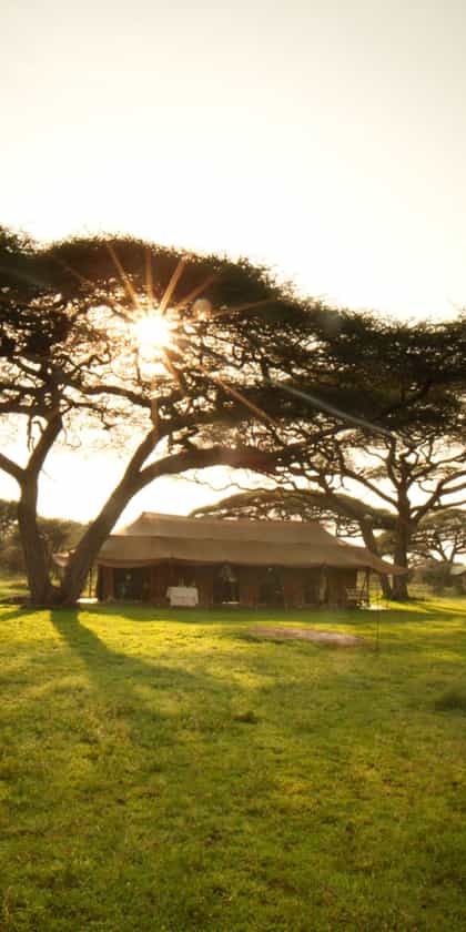 Serian's Serengeti Mobile Kusini, Serengeti | Timbuktu Travel