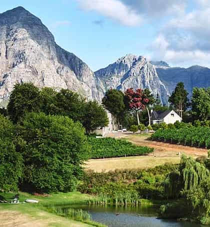 Alluvia Boutique Winery, Stellenbosch | Timbuktu Travel