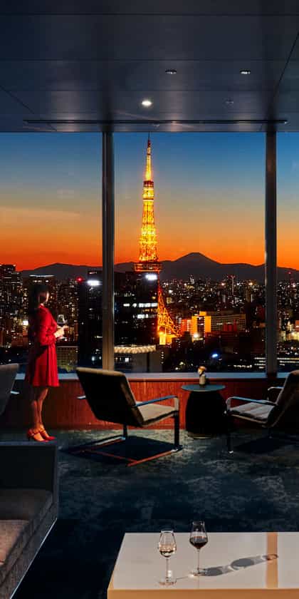 Park Hotel Tokyo, Tokyo | Timbuktu Travel