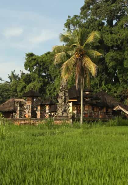 Alila Ubud, Ubud | Timbuktu Travel