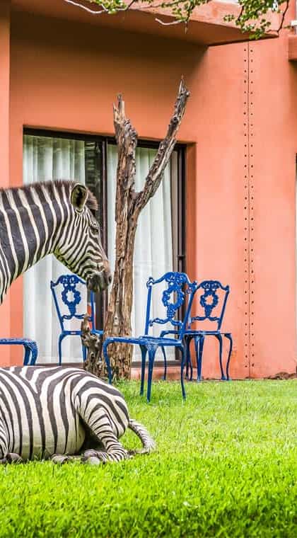 Avani Victoria Falls Resort, Victoria Falls | Timbuktu Travel