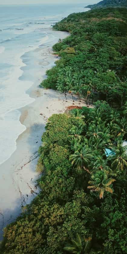 Hotel Tropico Latino, Guanacaste & Nicoya Peninsula | Timbuktu Travel